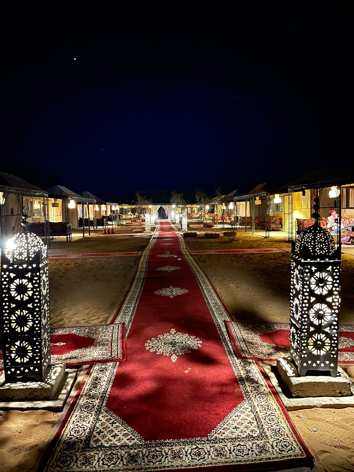 Agadir: Palm Grove & Rocky Desert Buggy Adventure
